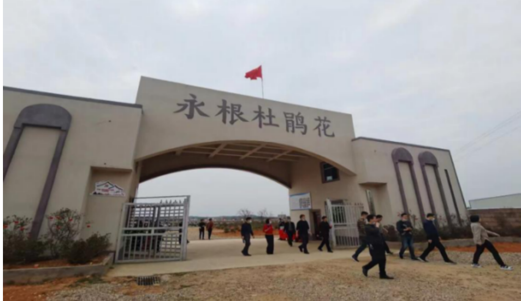 江西生產(chǎn)基地.png